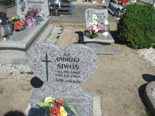 Andrzej Siwon 1960 Warta Bolesławiecka - Grobonet - Wyszukiwarka osób pochowanych